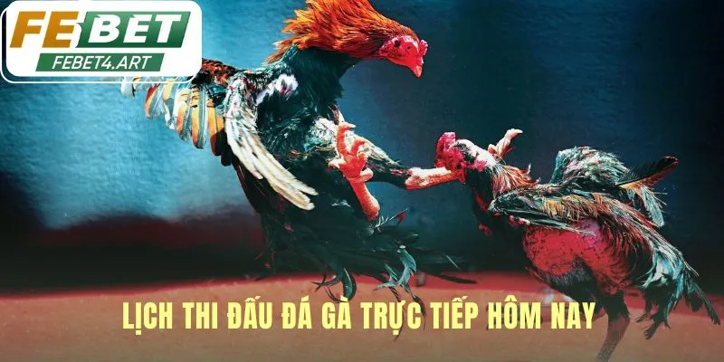 Lịch thi đấu cập nhật liên tục mỗi ngày không bỏ lỡ trận hay
